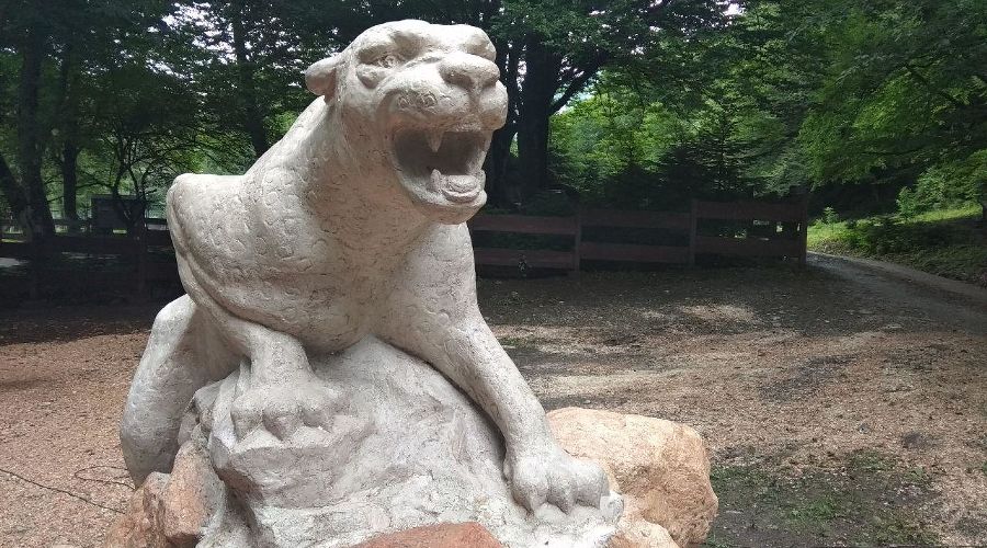 Маршрут «Тропа леопарда» © Фото Юга.ру