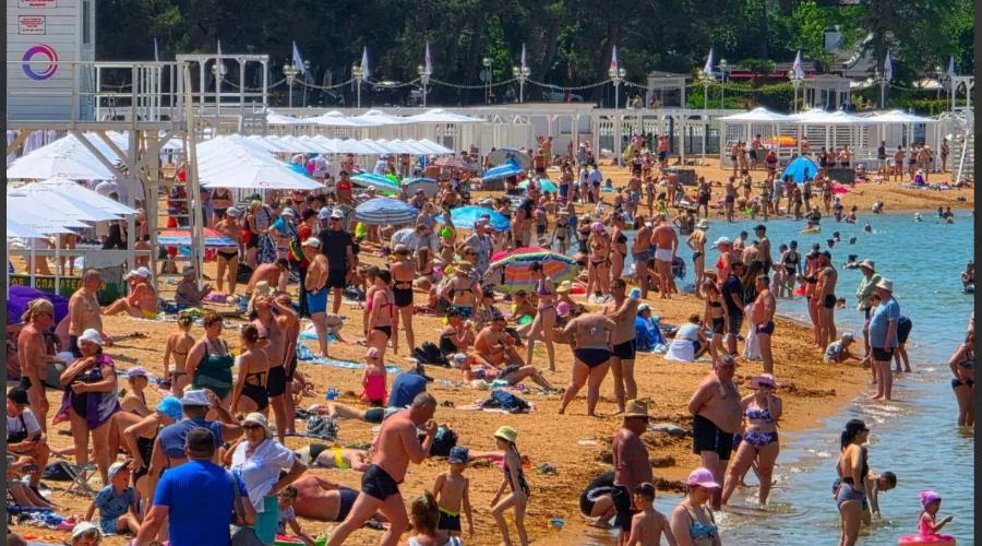  &copy;&nbsp;Скриншот из телеграм-канала &laquo;Жизнь на море&raquo; https://t.me/giznnamore/47064