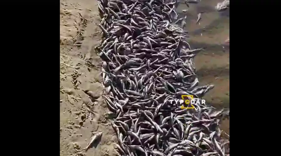  &copy;&nbsp;Скриншот видео из паблика &laquo;Туподар — Краснодар&raquo;, vk.com/typodar