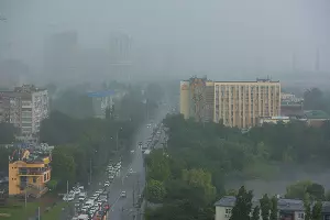  &copy;&nbsp;Фото Елены Синеок, Юга.ру