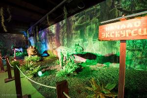  © Фото пресс-службы «Сочи Парка»