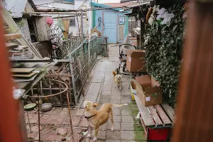  &copy;&nbsp;Фото Дениса Яковлева, Юга.ру