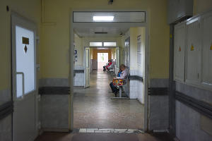  © Фото Елены Синеок, Юга.ру