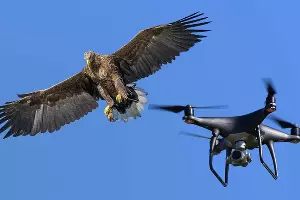  &copy;&nbsp;Коллаж Юга.ру