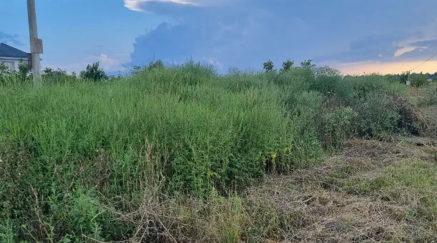  &copy;&nbsp;Фото Эльвиры Борискиной, предоставлено Юга.ру