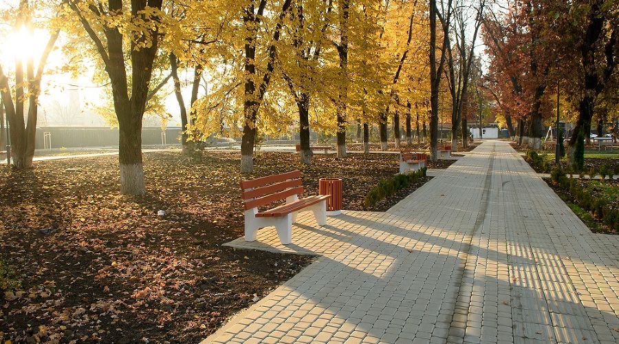  © Фото пресс-службы мэрии Краснодара