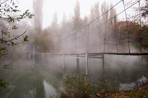 Туман в парке «Солнечный остров» © Фото Елены Синеок, Юга.ру
