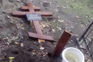  &copy;&nbsp;Фото из группы vk.com/this_is_sochi