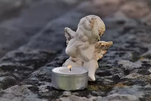  &copy;&nbsp;Фото с сайта pixabay.com