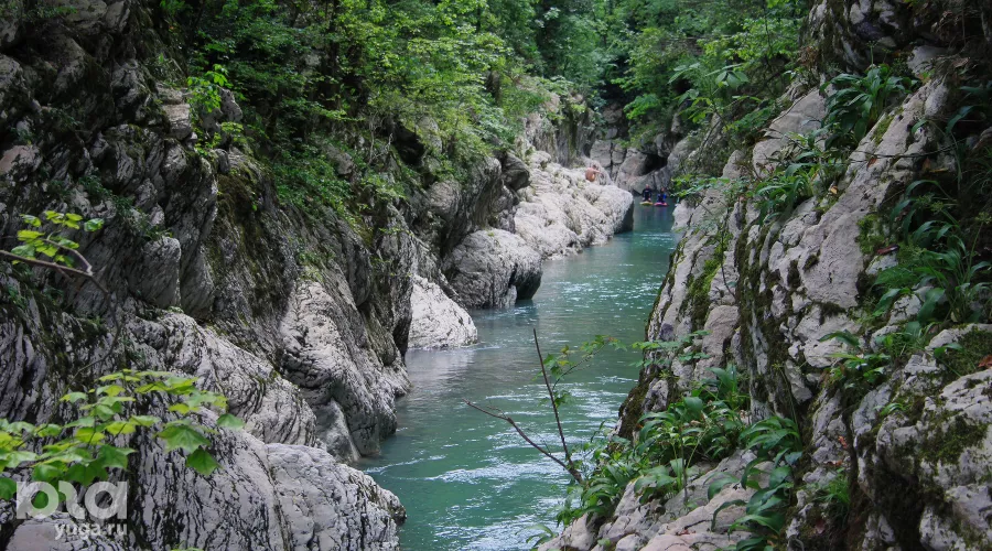 Каньон «Чертовы ворота» в Тисо-самшитовой роще Сочи &copy;&nbsp;Фото Марины Солошко, Юга.ру