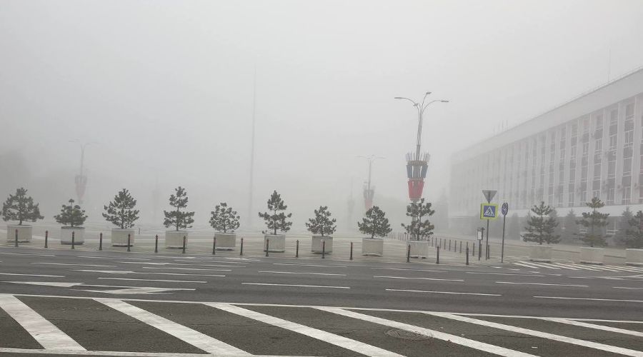  © Скриншот фото из телеграм-канала «Трамвай лета»