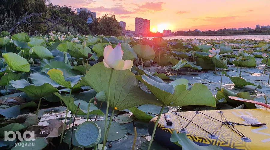  &copy;&nbsp;Фото Марины Солошко, Юга.ру
