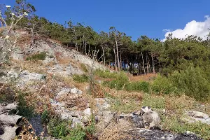 Лестница к морю в Кабардинке &copy;&nbsp;фото Марии Карагёзовой