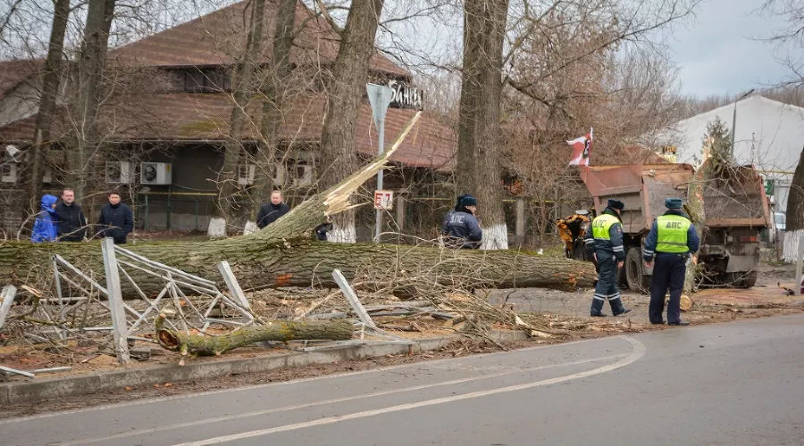  &copy;&nbsp;фото пресс-службы администрации Ростова-на-Дону