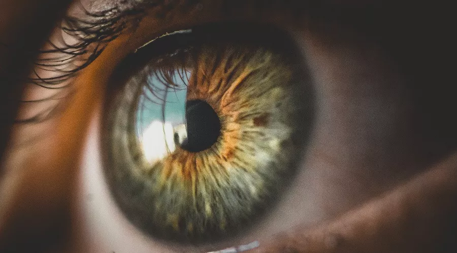  &copy;&nbsp;Изображение Bruno Henrique с сайта Pixabay.com