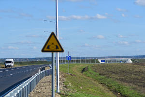  © Фото Алексея Гусева