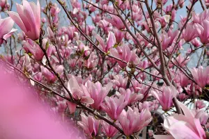  &copy;&nbsp;Фото Марины Солошко, Юга.ру