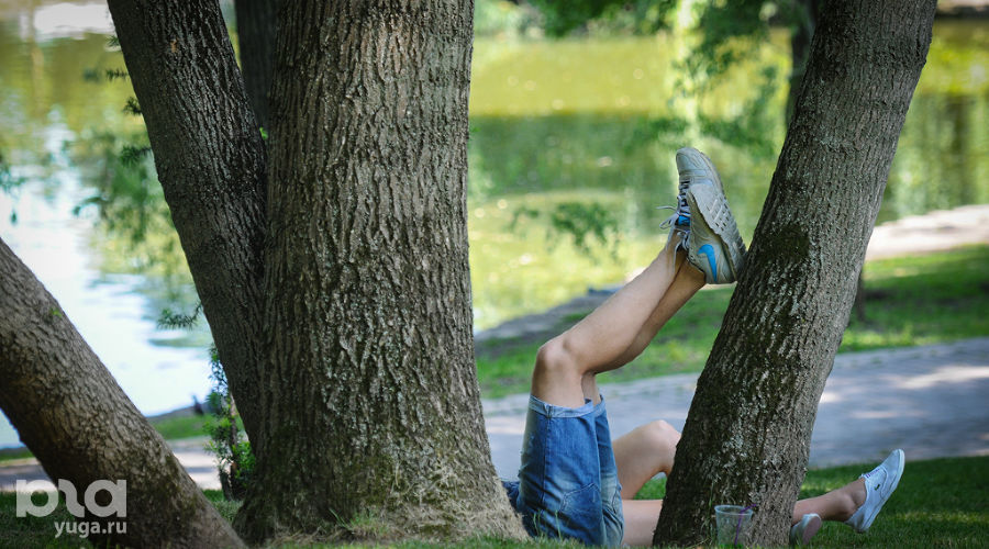  © Фото Елены Синеок, Юга.ру