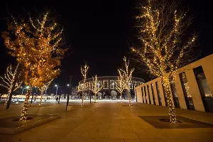 Парк «Краснодар» &copy;&nbsp;Фото Елены Синеок, Юга.ру