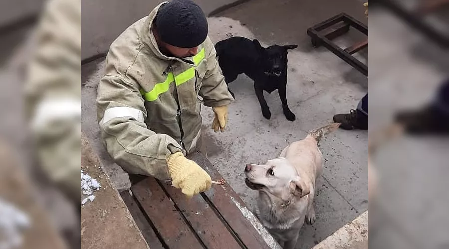  &copy;&nbsp;Фото из инстаграма ГКУ &laquo;Кубань-СПАС&raquo;, instagram.com/kuban_spas