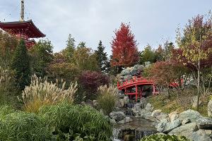 Японский сад в парке «Краснодар» © Фото Марины Солошко, Юга.ру