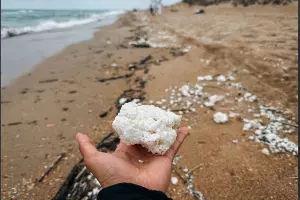  &copy;&nbsp;Скриншот из телеграм-канала эколога Георгия Каваносяна https://t.me/ecozhora/5199