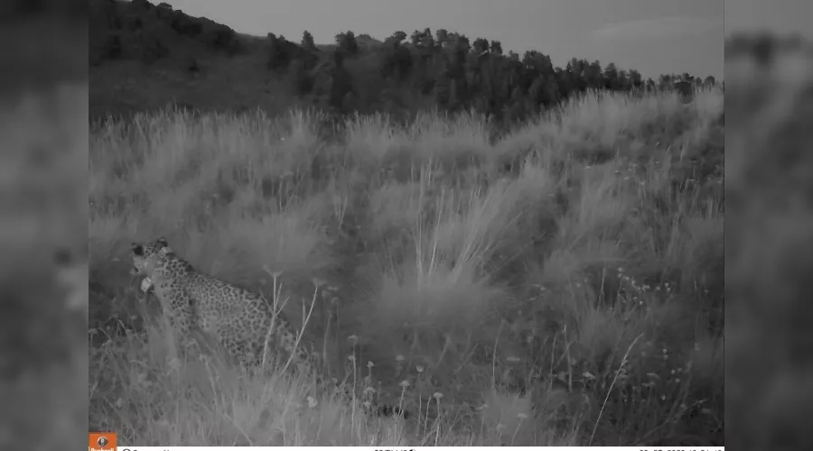  &copy;&nbsp;Фото пресс-службы Минприроды России