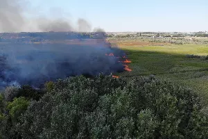  &copy;&nbsp;Фото со страницы instagram.com/cheh_rodion