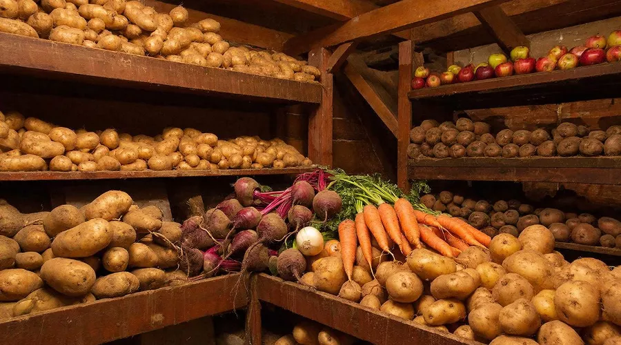 погреб &copy;&nbsp;Изображение сгенерировано нейросетью Gigachat