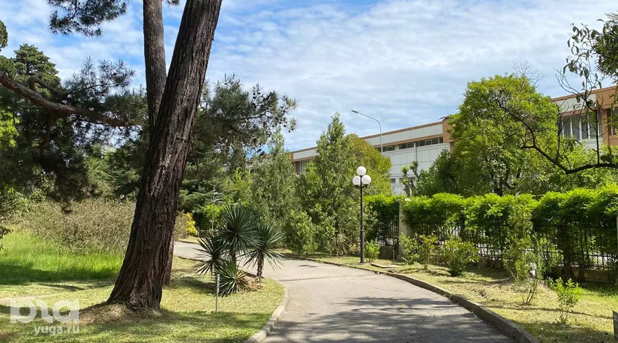 Дендрарий в Сочи &copy;&nbsp;Фото Влады Мандрыка, Юга.ру