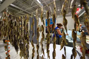  &copy;&nbsp;Фото Елены Синеок, Юга.ру