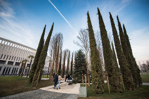 Парк «Краснодар» &copy;&nbsp;Фото Елены Синеок, Юга.ру