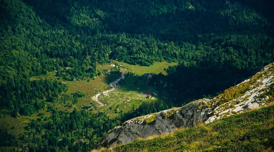  &copy;&nbsp;Фото irabrester, freepik.com