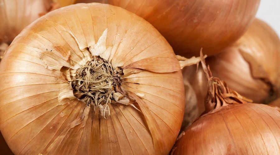 лук &copy;&nbsp;Изображение сгенерировано нейросетью Gigachat