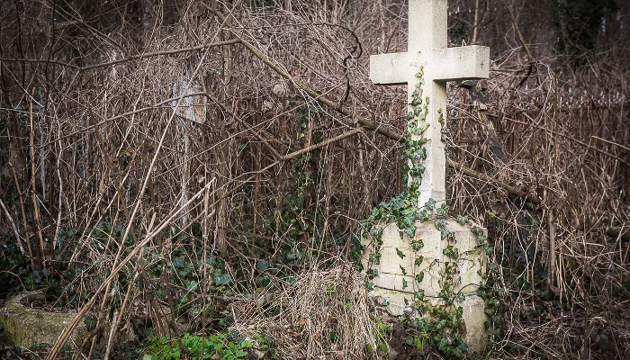 Всесвятское кладбище &copy;&nbsp;Фото Елены Синеок, Юга.ру