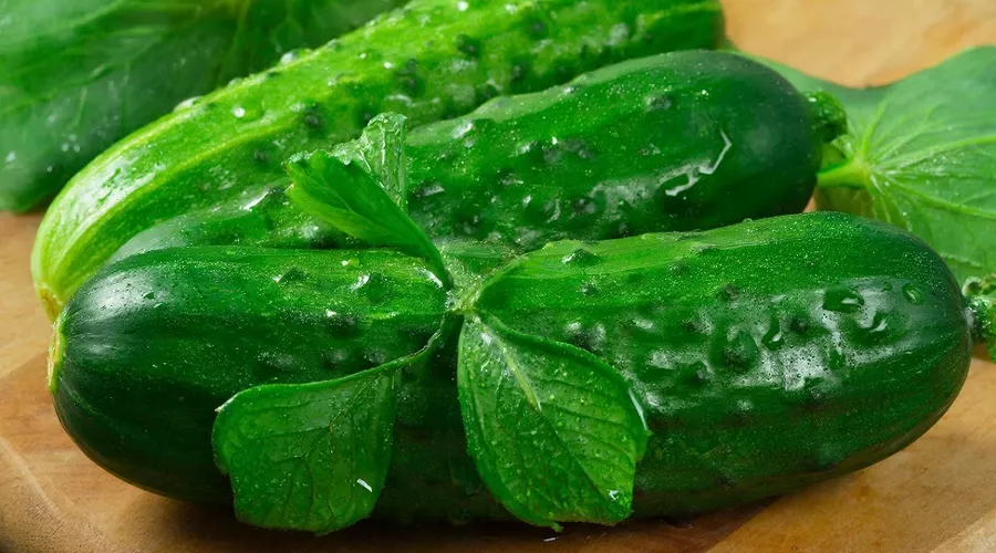 огурцы &copy;&nbsp;Изображение сгенерировано нейросетью Gigachat