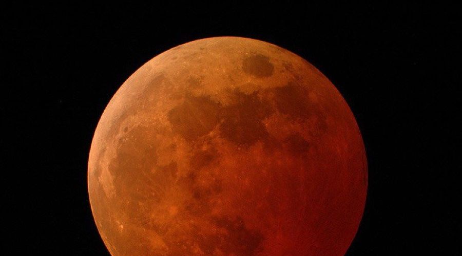 Луна © Фото из аккаунта twitter.com/NASA