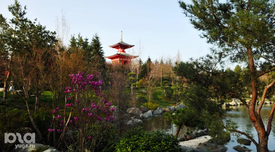  &copy;&nbsp;Фото Марины Солошко, Юга.ру