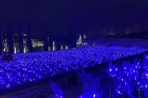  &copy;&nbsp;Фото Олеси Шубиной, Юга.ру