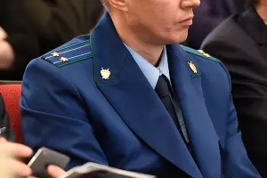  &copy;&nbsp;Фото Елены Синеок, Юга.ру