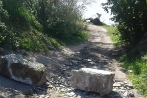  &copy;&nbsp;Фото пресс-службы администрации Краснодара