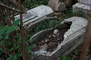 Еврейское кладбище Краснодара &copy;&nbsp;Фото Елены Синеок, Юга.ру