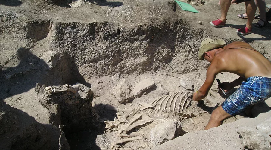  &copy;&nbsp;Фото с сайта ОТКРЫТАЯАРХЕОЛОГИЯ.РФ