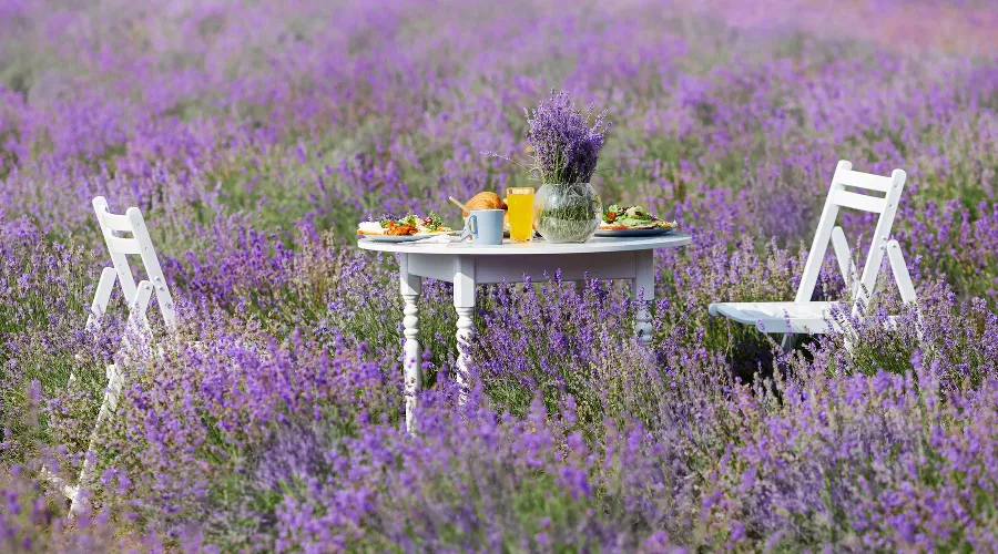  &copy;&nbsp;Фото Serhii_bobyk, freepik.com