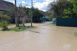  © Фото Эмира Кубединова