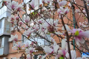  &copy;&nbsp;Фото Марины Солошко, Юга.ру