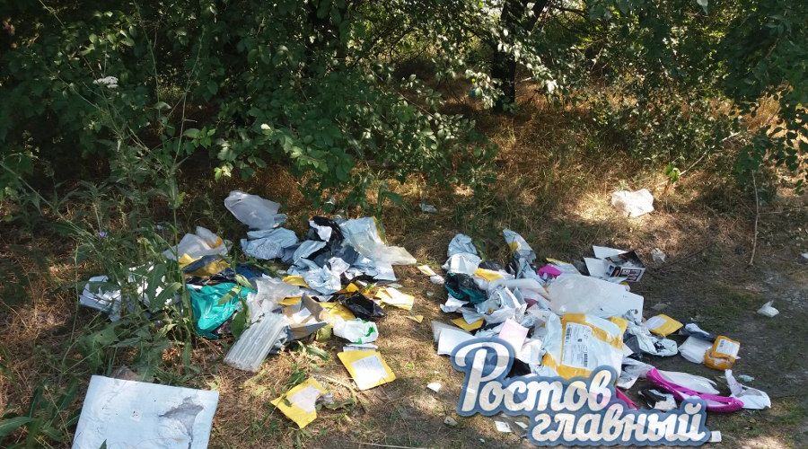  © Фото из группы «ВКонтакте» «Ростов Главный - новости Ростова-на-Дону» vk.com/rostovnadonu