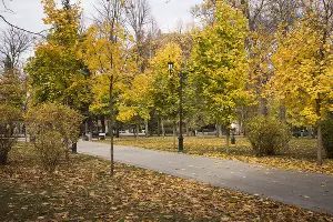  &copy;&nbsp;Фото Елены Синеок, Юга.ру