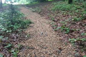 Маршрут «Тропа леопарда» © Фото Юга.ру