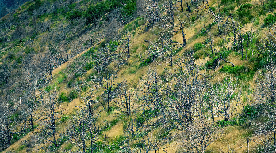  © Фото Антона Быкова, Юга.ру